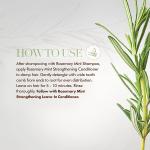 Mielle Rosemary Mint Hair Strengthening Conditioner With Biotin For All Hair Types 355ml